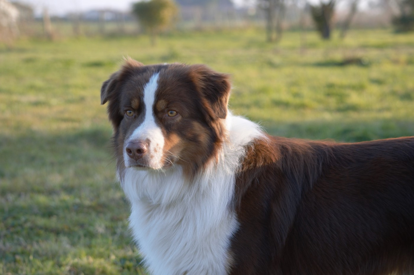 Ultra chic L’Opalyne Des Pierres Précieuses