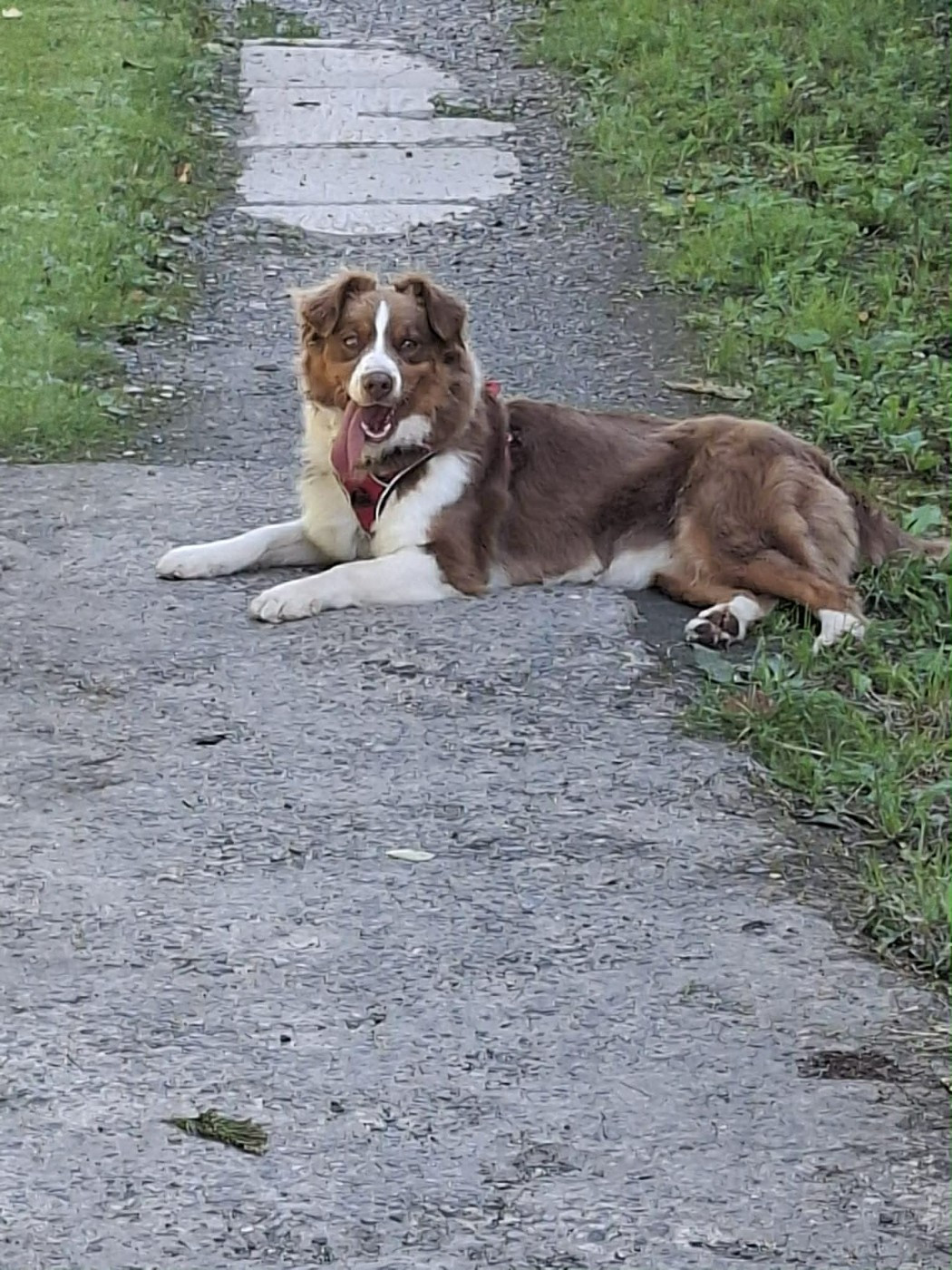 ushuaya L’Opalyne Des Pierres Précieuses