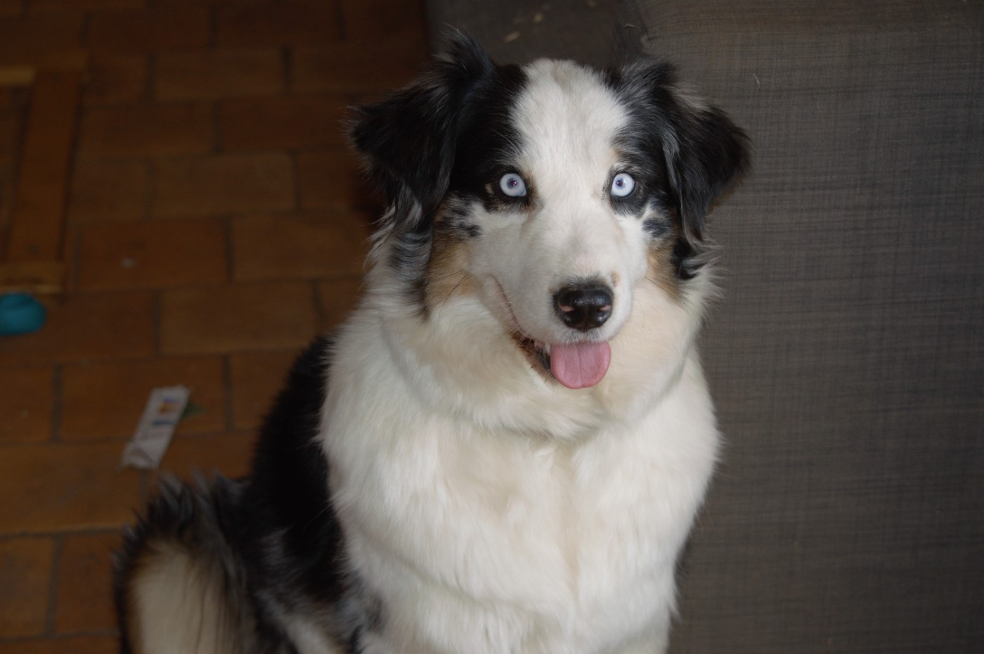 Texa De La Tombée De La Nuit